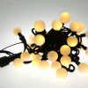 50 Extendable Outdoor Xp Led Warm-White Berry Christmas Lights