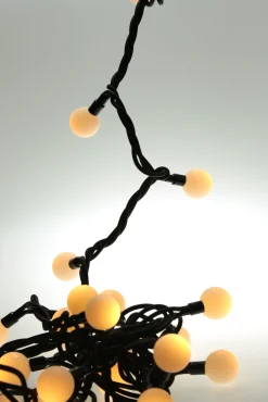 50 Extendable Outdoor Xp Led Warm-White Berry Christmas Lights