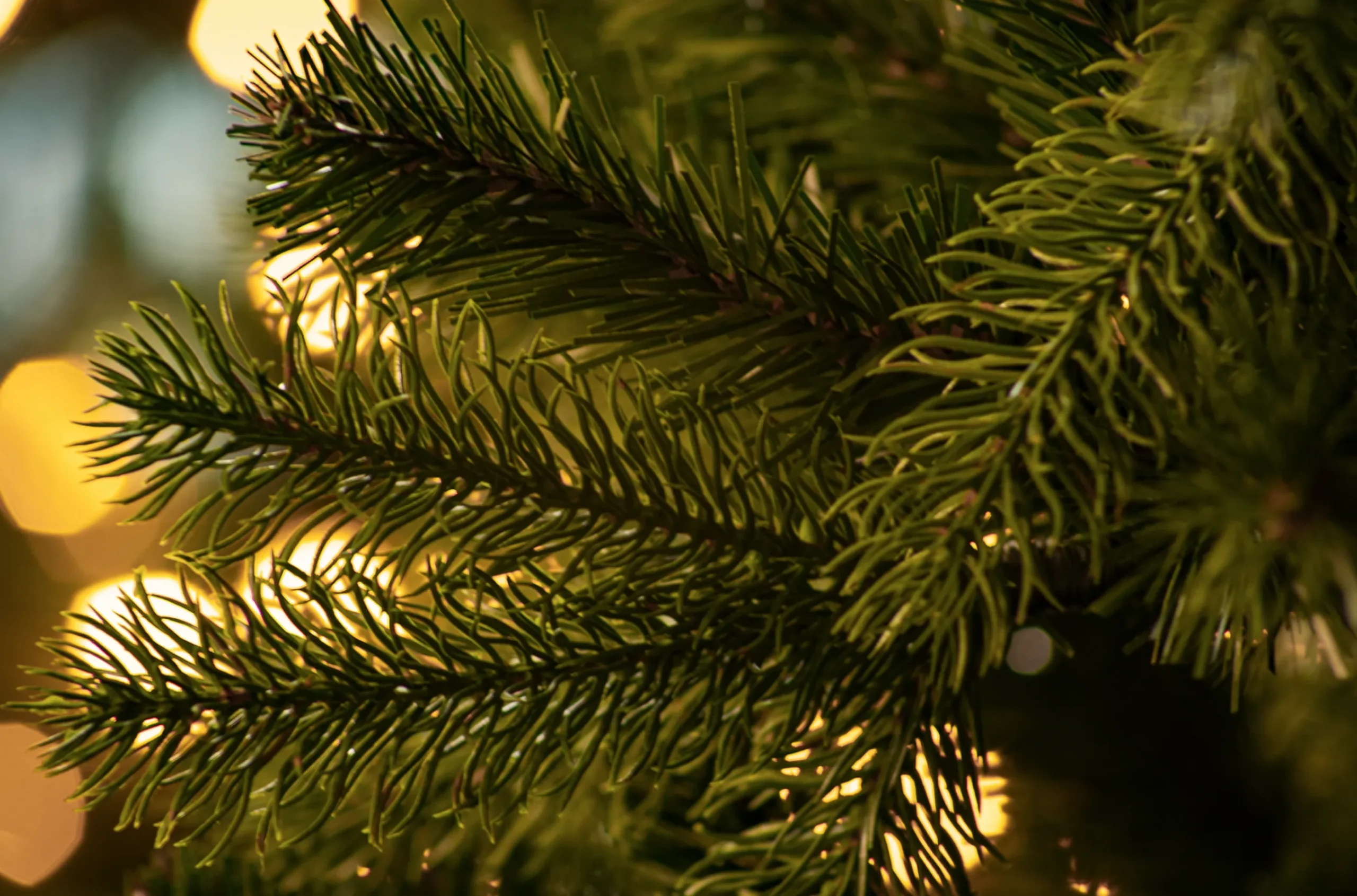 9Ft Feel Real Newberry Spruce Artificial Christmas Tree