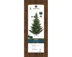 8Ft Grandis Fir Artificial Christmas Tree