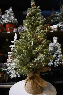 3Ft Snowy Concolor Fir Pre-Lit Artificial Christmas Tree