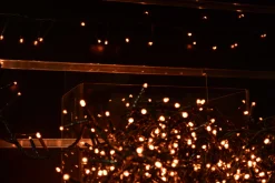 Led Warm White Compact Twinkle Christmas Lights